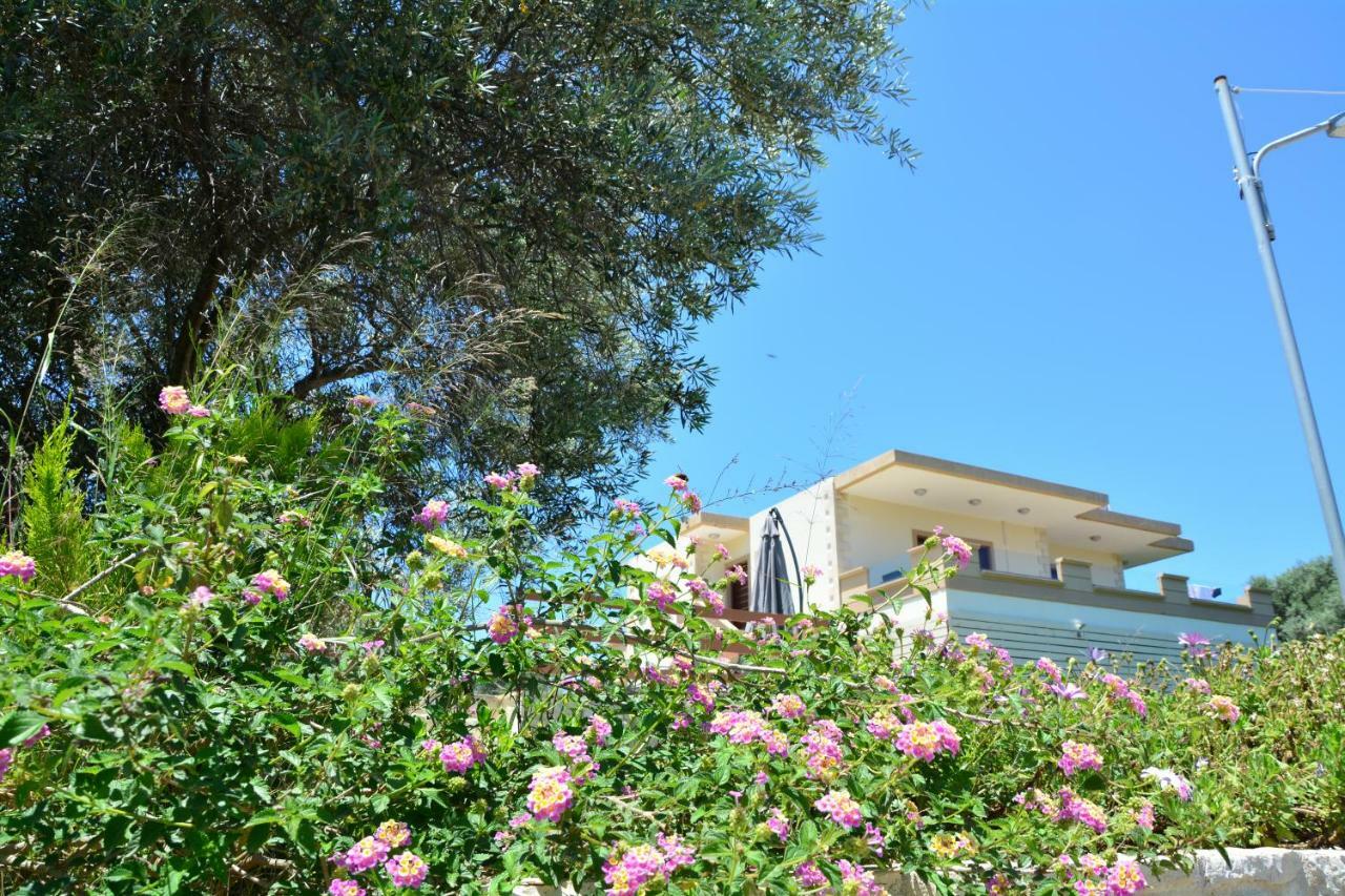 Villa Ikaros Kalamítsion Amigdhálion 外观 照片